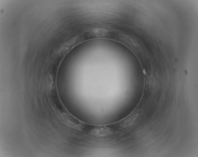 X0000076390752200610202104