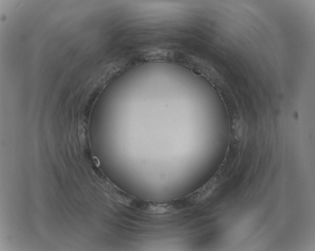 X0000076390753200610202104