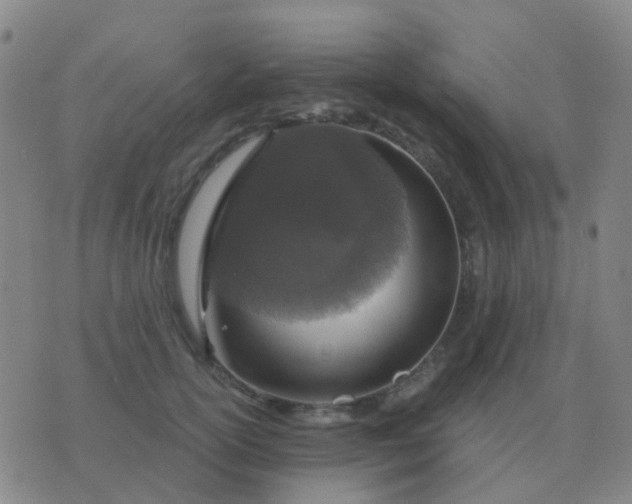 X0000076390754200610202104