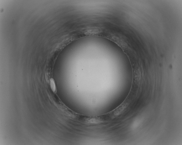 X0000076390755200610202104