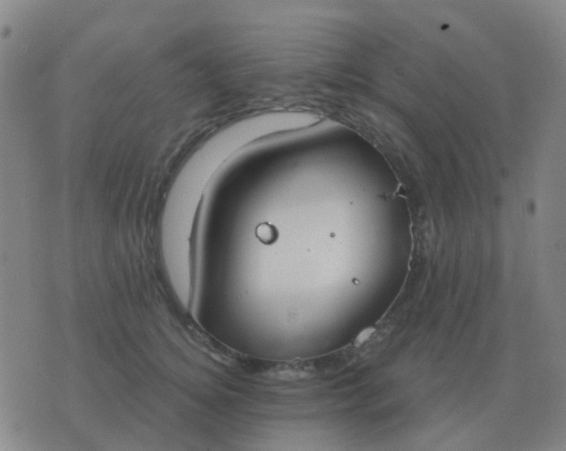 X0000076390756200610202104