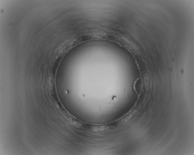 X0000076390757200610202104