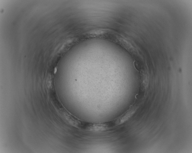 X0000076390758200610202104