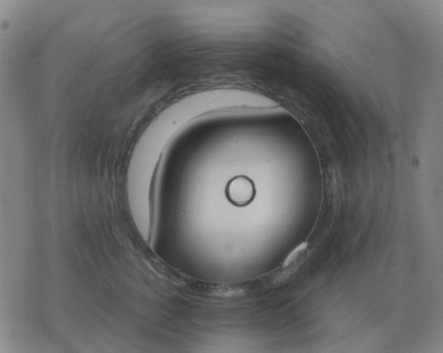 X0000076390760200610202104