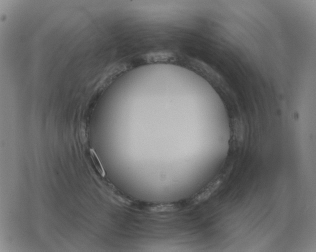 X0000076390761200610202104