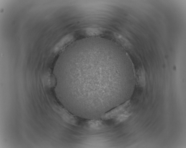 X0000076390762200610202104