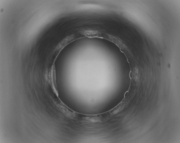 X0000076390763200610202104