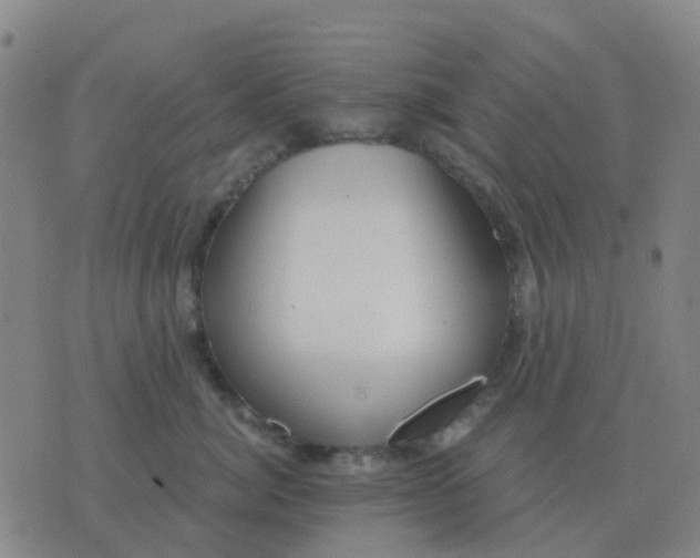 X0000076390764200610202104