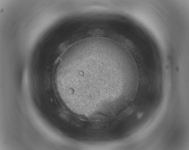 X0000076390765200610202104