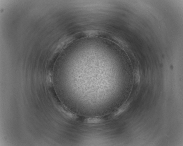 X0000076390766200610202104