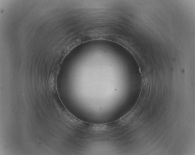 X0000076390767200610202104