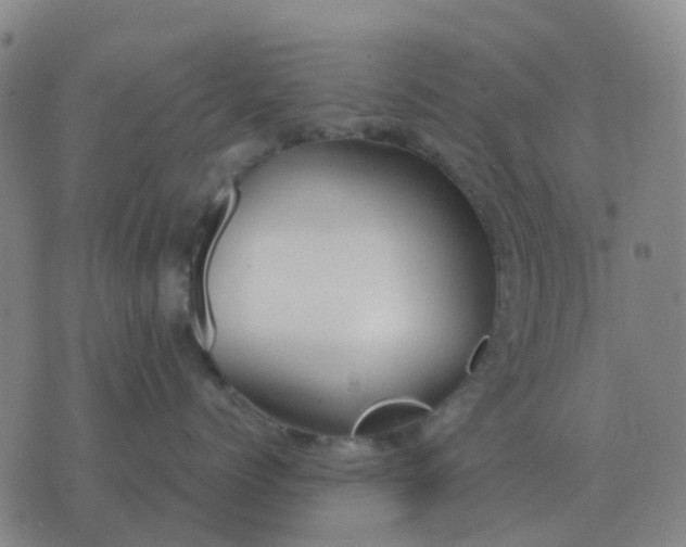 X0000076390768200610202104