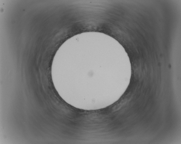 X0000076390769200610202103