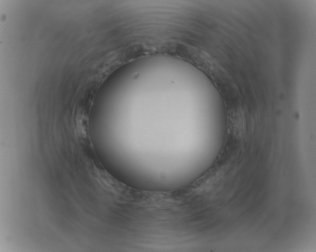 X0000076390770200610202103