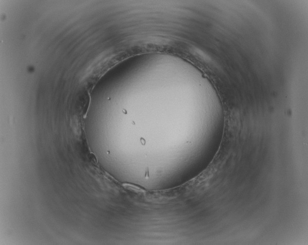 X0000076390774200610202103