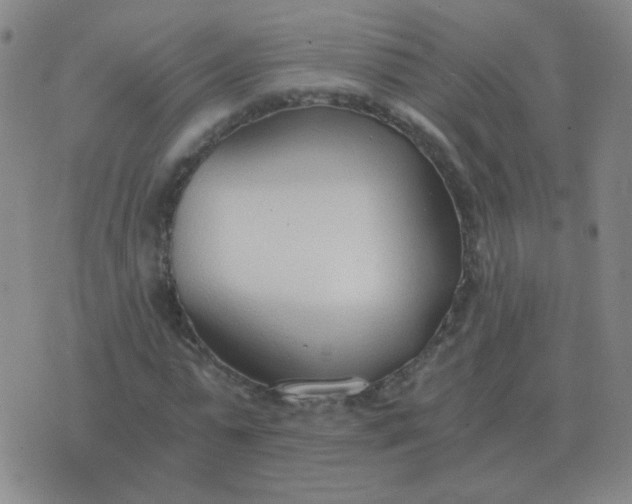 X0000076390775200610202103