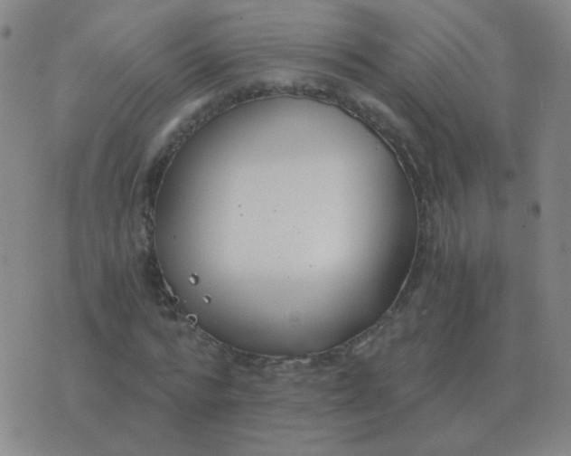 X0000076390776200610202103