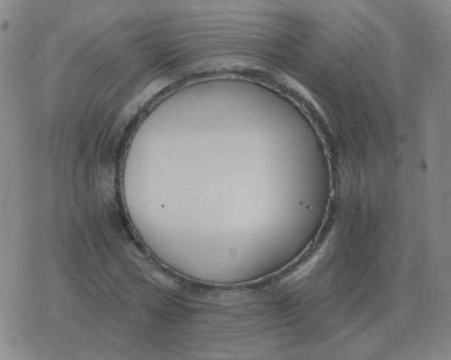 X0000076390778200610202103