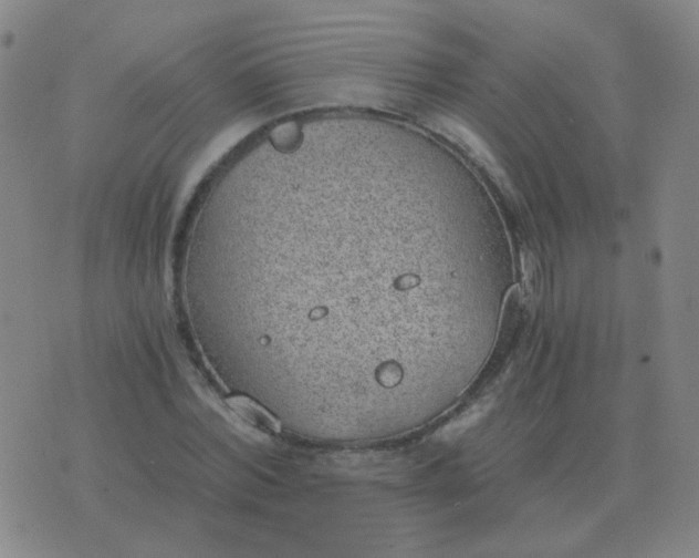 X0000076390780200610202103