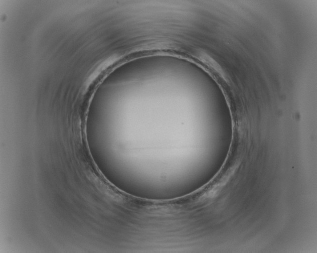 X0000076390781200610202103