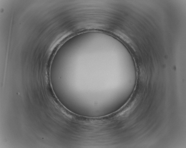 X0000076390782200610202103