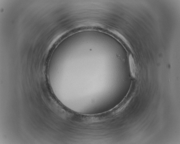 X0000076390783200610202103