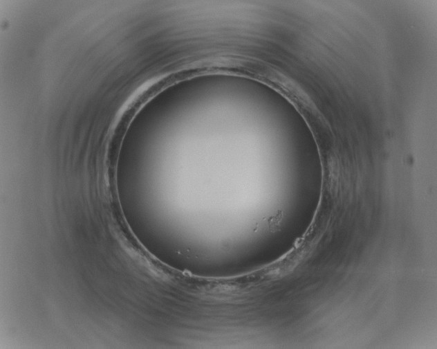 X0000076390784200610202103