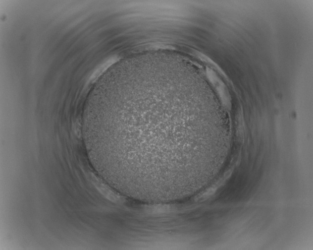 X0000076390785200610202103