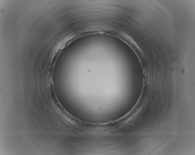 X0000076390786200610202103