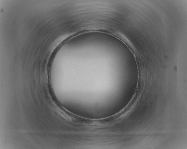 X0000076390787200610202103