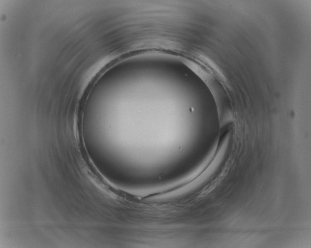 X0000076390788200610202103