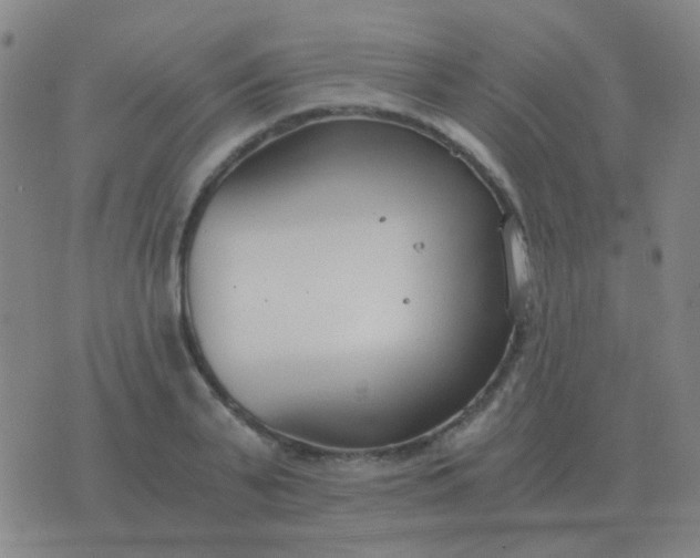 X0000076390791200610202103