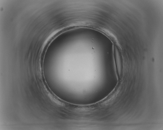 X0000076390792200610202103