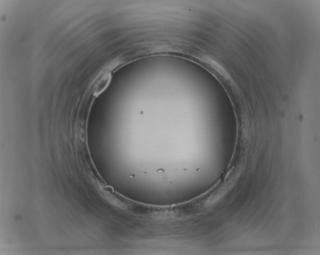 X0000076390793200610202103