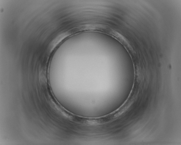 X0000076390794200610202103