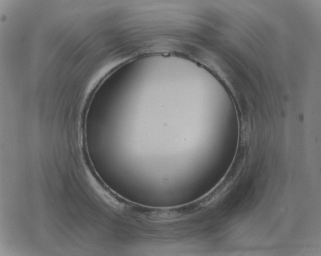 X0000076390795200610202103