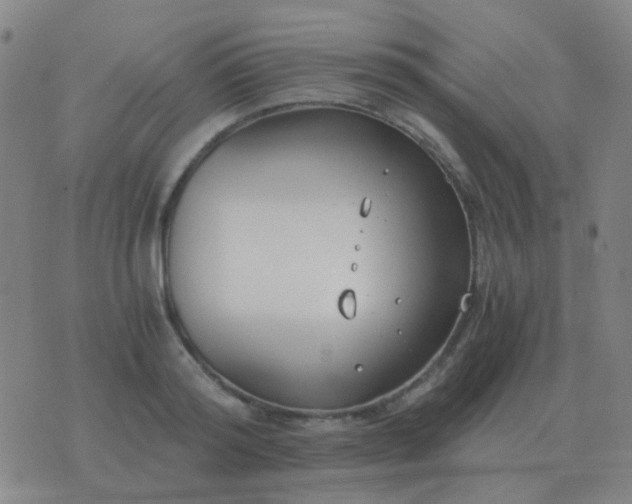 X0000076390796200610202103