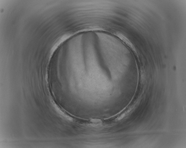 X0000076390797200610202103