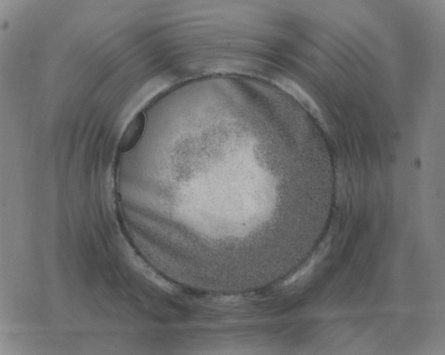 X0000076390798200610202103