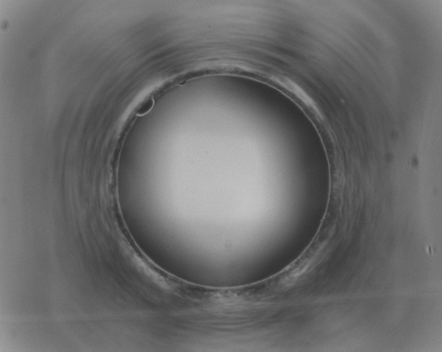 X0000076390799200610202103