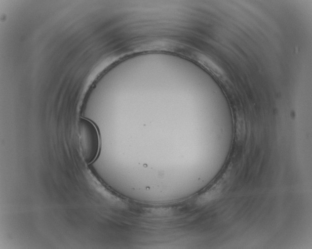 X0000076390800200610202103