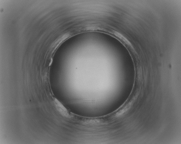 X0000076390801200610202103