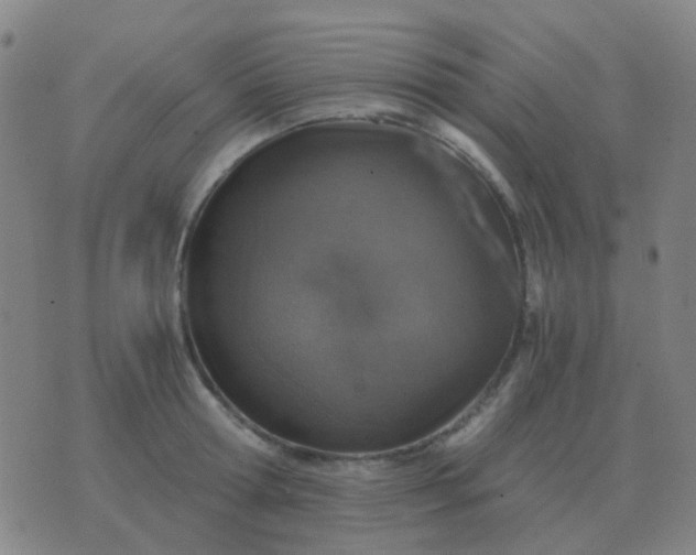 X0000076390802200610202103