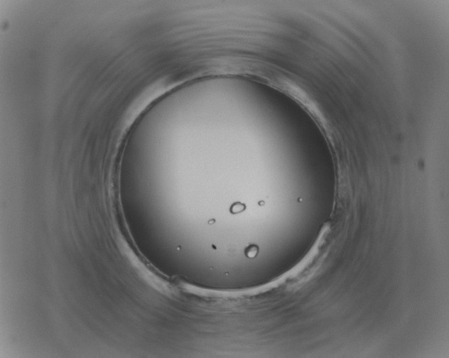 X0000076390803200610202103