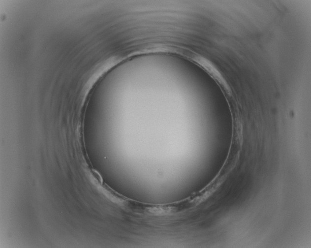 X0000076390805200610202103