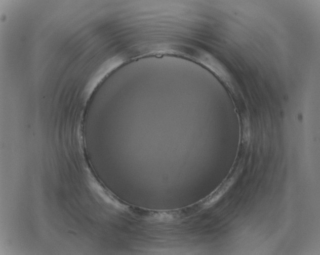 X0000076390806200610202103