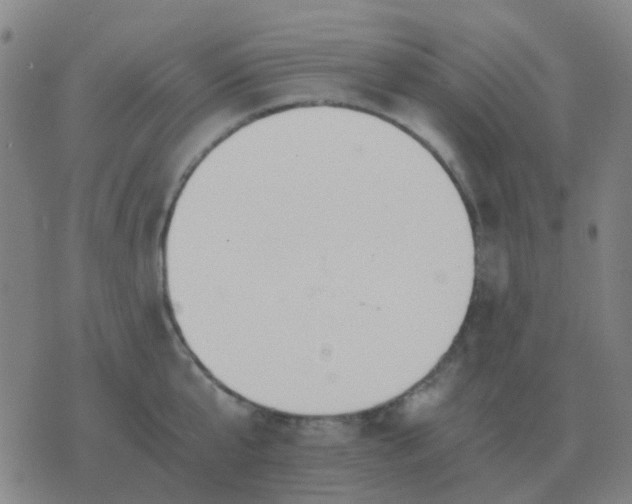 X0000076390807200610202103