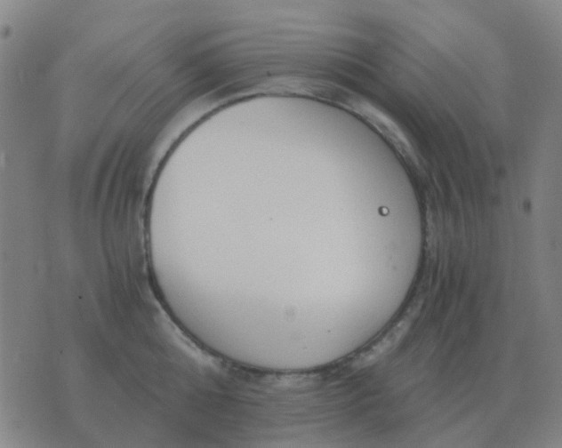 X0000076390808200610202103