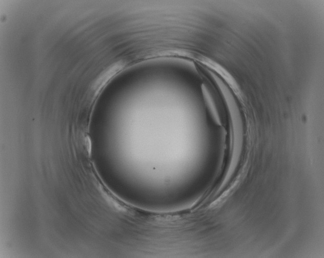 X0000076390809200610202103