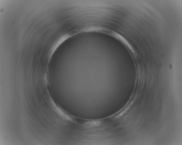 X0000076390810200610202103